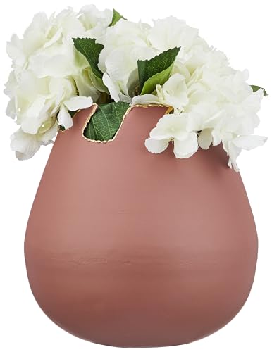 Amazon Brand - Solimo Iron Vase | Rustproof | for Room Décor | Perfect for Gifting (Terracotta Color)