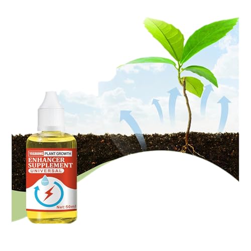 ͍ t̔엿 ϗtA/A/ʕ//앨p c ƊJԂ𑣐i A엿 Ŕ߂邾ŊȒP i  