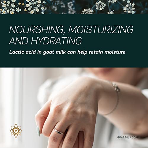 Authentic Bath & Soap Cold Processed Goat Milk Bar Soap For Men & Women. Natural, Handmade, No Parabens Or Sulfates, Cruelty Free, Anti-Aging & Moisturizing Face & Body Wash. 3.5 Oz Each (Pack Of 2) #TOP5