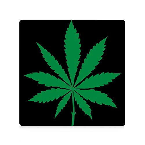 Tee Aus Cannabisblättern Die 15 besten Produkte im Vergleich & Angebote aktualisiert