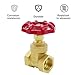 Antrader 3/4 Inch Gate Valve Brass,DN20 Female with Wheel Handle Brass 3/4