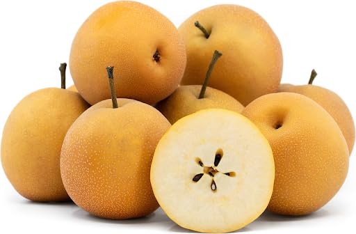 Fresh Asian Pears, 5 lbs