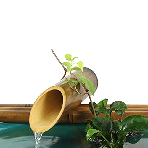 Kit de fuente de bambú para pájaros y bomba exterior para jardín 5