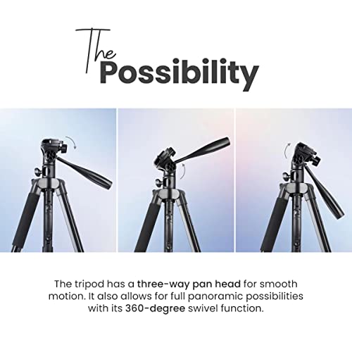Image of DIGITEK Platinum (DPTR 890 VD) (178 cm) Aluminum Light Weight Tripod with Fluid Video Head & (DBSK-009FT) Studio Background Stand Kit for Backdrop Photography and Videography