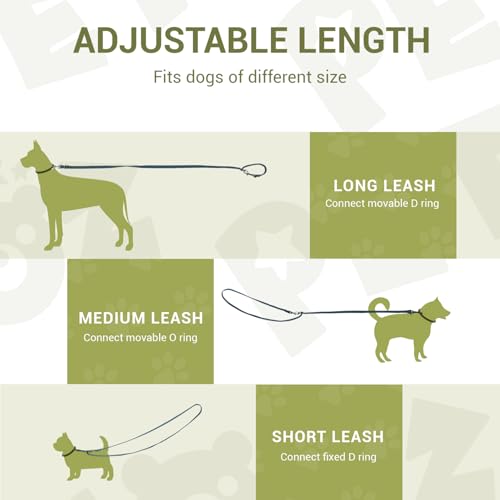 PETCOOZ Hundeleine 3 m Verstellbare Schleppleine, Verdickte Doppelleine Führleine für Hunde bis 30 kg für Kleine Mittelgroße Hunde, Freihandleinen Übungsleine aus Nylon mit 2 Karabiner, Marineblau