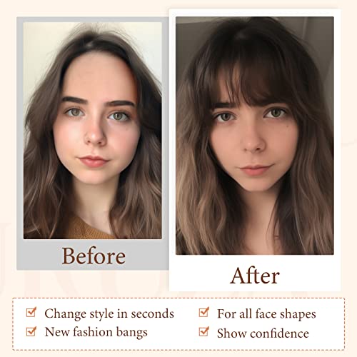 Auruza Wispy Bangs Hair Clip Extensions 100% Human Hair - Fake Bangs Clip In Bangs With Temples And Curved Bangs, Hair Pieces For Women, Ponytail Extension Human Hair, Enjoy Daily Wear And Convenience #TOP4