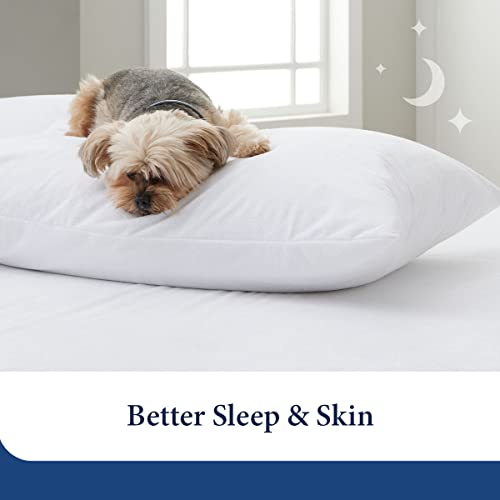 The Best Pillow Protectors for Airbnb Here's What to Look For...