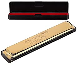 Harmonica personnalisé en Acier Inoxydable ID Harmonica personnalisé gravé Harmonicas Adultes gratuits - Les Beatles, Paul McCartney, John Lennon, RIngo Starr, George Harrison