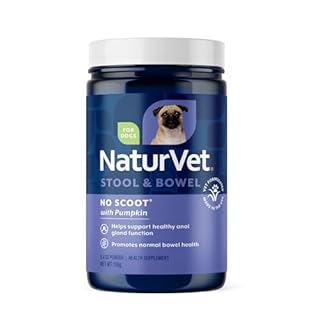 NaturVet No Scoot Powder for Dogs, 155 gm