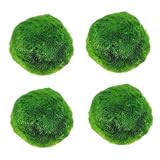 AwnsIMfreien Plantas Naturales, 4-Pack Live Marimo Moss Ball...