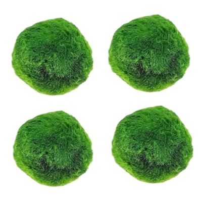 AwnsIMfreien Plantas Naturales, 4-Pack Live Marimo Moss Balls, 2.7-2.9cm After Soaking - Natural Aquarium Plants for Fish Tank Decor & Ecological Bottles, Marimo Planta Viva
