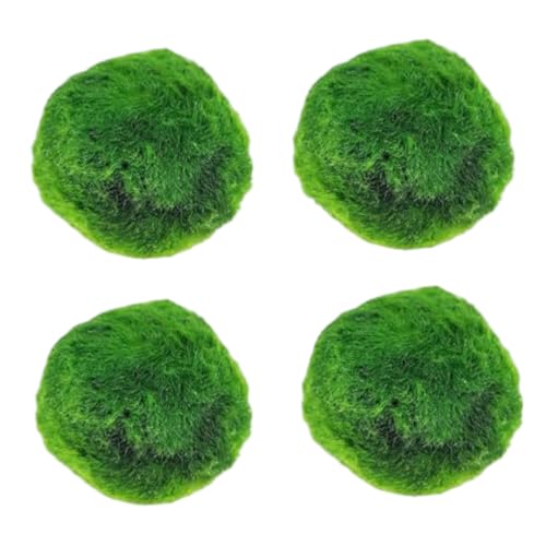 AwnsIMfreien Plantas Naturales 4-Pack Live Marimo Moss Balls 2.7-2.9cm After Soaking - Natural Aquarium Plants for Fish Tank Decor & Ecological Bottles Marimo Planta Viva