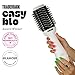 Trademark Beauty Hair Dryer Brush in One, Blow Dryer Brush, Wet and Dry Hair, Anti-Frizz Ions, Smooths, Ceramic, Creates Volume, All Hair Types - White
