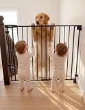 Babelio Removable Gate