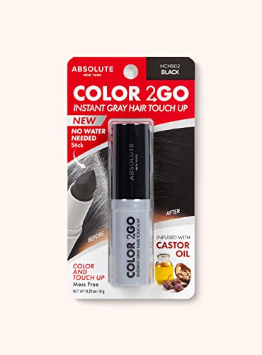 Absolute New York Color 2 Go - Instant Root Touch Up Hair Stick (HCHS02 Black, .21 oz)