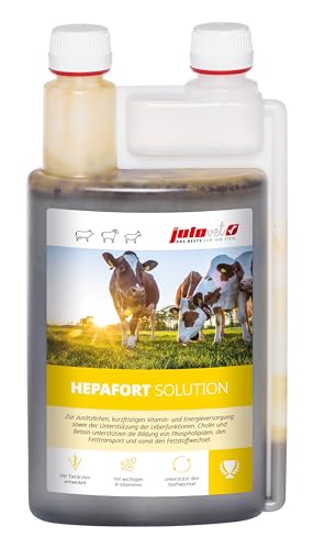 JuloVet Hepafort Solution Flüssiges Ergänzungsfuttermittel 1 l