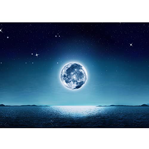 Runa Art Photo Wallpaper Moon Night 352 x 250 cm Non-Woven Wall Art XXL Moderne Living Room Bedroom Blue 9294011a