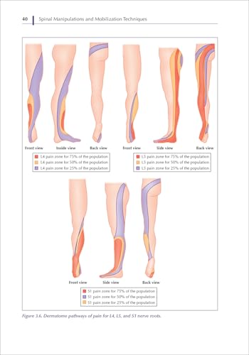 Spinal Manipulations and Mobilization Techniques