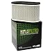 Hiflofiltro HFA4907 Premium OE Replacement Air Filter