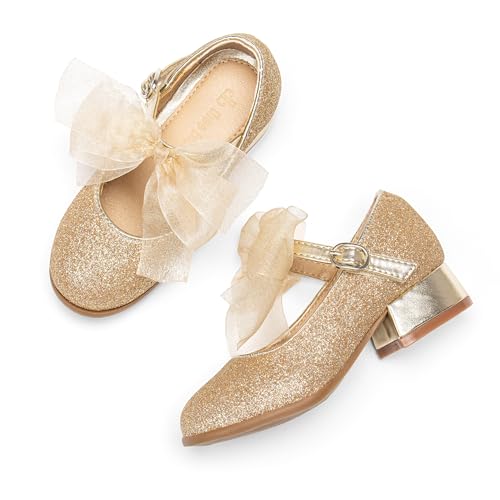 Image of THEE BRON Girls Low Heel Dress Shoes Mary Jane Party Wedding Flower Girl Pumps