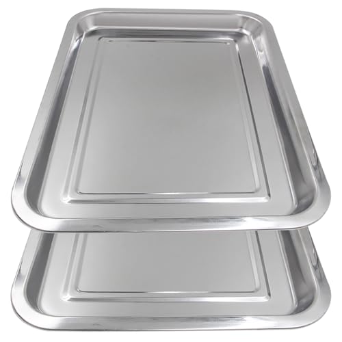 2 Pack Stainless Steel Tray - Autdor Metal Tray...