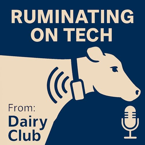TOTH E12 - Ruminating On Tech