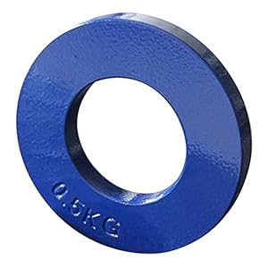 Pojedehy Fractional Weights Fractional Weights Mini Weight Plates Strength Training Plates Accurate Disk Accessory Blue 0.5Kg