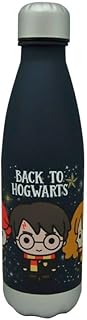 SRV Hub 750ml Stainless Steel Water Bottle, Reusable Harry Potter Water Bottle Flask, BPA Free Leak Proof Canteen Drinks Bottle Gift for Kids 3+ Years