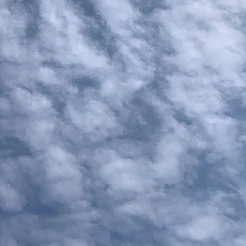 Weather Review: April 4