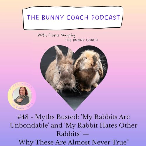 #48 - Mythbusting - My Rabbit Hates Other Rabbits or My Bunnies Are Unbondable