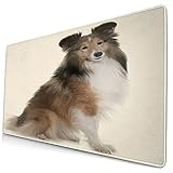 Wasserdichtes-Verhindern Sie versehentliche Schäden durch verschüttete Flüssigkeit. Waschbar, schnell trocknend und leicht zu reinigen. Das fleckenbeständige Tuchtop bleibt für eine lange Zeit frisch und neu aussehend, besonders große erweiterte Schreibtischmatte kann mehr Fläche schützen. Das Tastaturschutzpad spart viel mehr Platz. Halten Sie Ihren Bürobereich winzig und sauber. Eleganter Stil, exquisite dekorative Idee, fügen Sie Persönlichkeit zu Ihrem Büro und Arbeitszimmer.