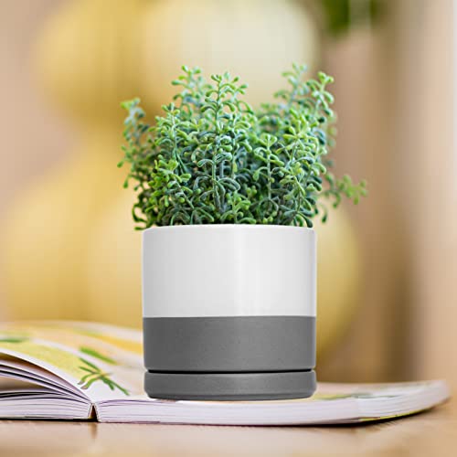Set Of 4 Small Succulent Plant Pots, 4.6 Inch Ceramic Planter Pot For Plants With Drainage Hole And Saucer, White/Speckled Grey, 94-F-Xs-6 #TOP4