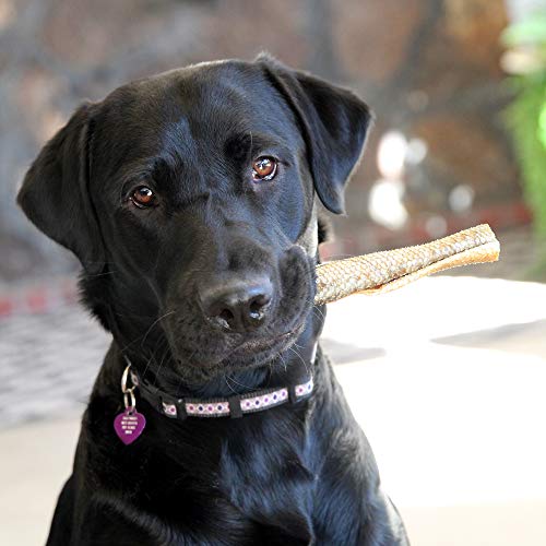 Wild Eats Salmon Skin Treats For Dogs (9 Oz /12 Ct) Dog Chews & Dog Snacks Single Ingredient Alaskan Sockeye Wild Salmon Freeze Dried Salmon, Wild Caught & Sustainably Sourced No-Hide Dog Chews #TOP2