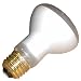 10 Qty. Halco 100W R20 FL 125V Halco SHORT R20FL100/S 100w 125v Incandescent Flood Short Halco Lamp Bulb