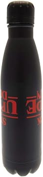 Pyramid International Stranger Things Insulated Metal Water Bottle with Upside Down Graphic 540ml - Official Merchandise, Multi-coloured, MDB25388