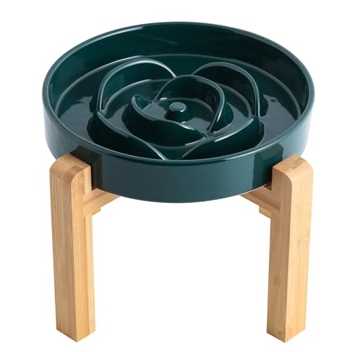 8.66 in Green Dog Bowl Ceramic Slow Feeder with Wood
