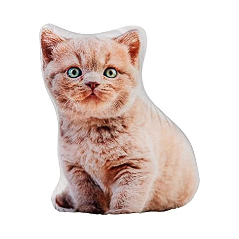 Coussin Chat your castle Cover