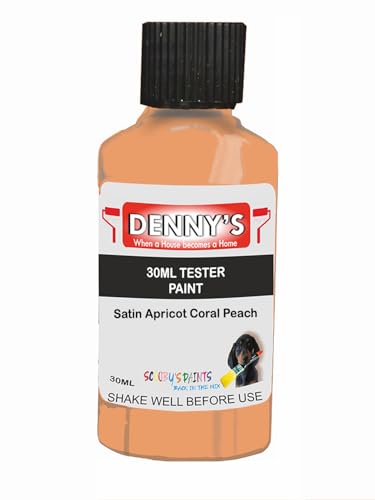 Premium Interior Wall & Furniture Chalk Paint – Satin Apricot Coral Peach – Rich Matt Finish, Durable & Washable, Low Odour, Ideal for Living Rooms, Bedrooms & Hallways (30ML Tester Bottle)
