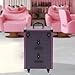 Rolling Cosmetic Trolley Storage Organizer Luggage Box, Salon Cosmetic Trolley Makeup Case, Beauty Nail Hair Styling Travel Suitcase with Lockable Drawers & 4 Wheel(2 with Brakes) (Black, Purple)