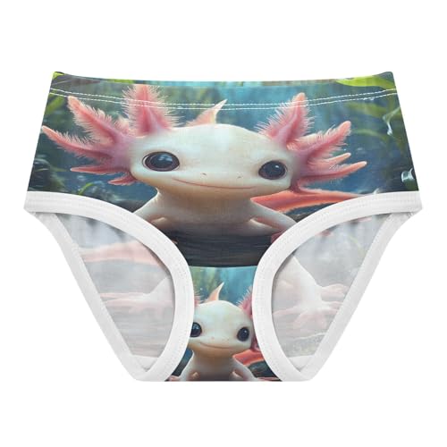 Cute Axolotl Undersea Toddler Girls's Underwear 2T 202b8846
