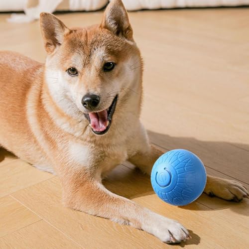 Tktouci Pelota Interactiva para Perros - Juguete Canino Automático Y Recargable con Sonido,Juguete Electrónico para Cachorros Pequeños Medianos Grandes,para Ejercicio Entrenamiento y - imagen 3