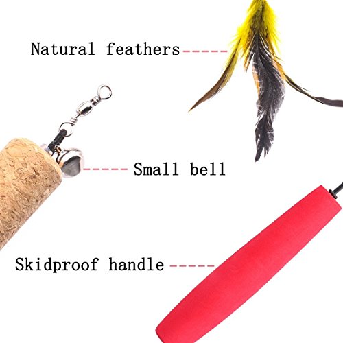 Jteey Cat Toys Interactive,9 Packs Retractable Cat Toy Wand, Cat Feather Toy, Assorted Refills Teaser Exerciser Wand Toy Set,Fish Bird Butterfly Dragonfly Worm #TOP3
