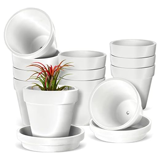 10 Pcs 4 Inch Terracotta Pots with Saucer Small Clay Plant Pots with Drainage Holes Flower Pots Tray for Indoor Outdoor Plants Succulent Display (White)