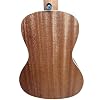 Lanikai LU21-C 4 String Ukulele,Concert Ukulele, with Aquila String and Pro Set-up