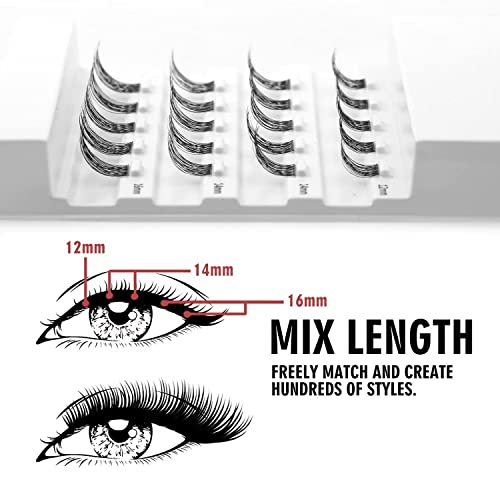 Wonsis Lash Clusters, Box*10, Bundle Of 10 Combination, 24 Clusters Reusable Individual Lashes, Natural Wispy Individual Eyelash Clusters For Home Eyelash Extensions (10Boxes-Natural Mixed) #TOP2