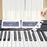 Hyzevee Abnehmbare Klavierführer für Anfänger, Klaviertastatur-Notenetiketten für 88 Tasten Silikon volle Größe Wiederverwendbar-Keine Aufkleber Erforderlich-mit Box Geliefert, Schwarz, 2 Stück