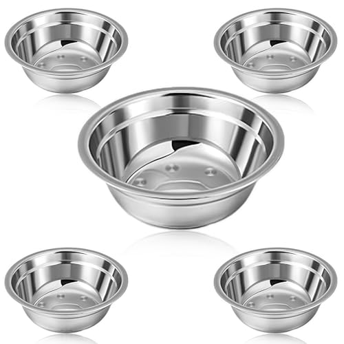 SeewtLice 5 XeXX`[ hbO{EA10IX ^ybg{E Hi&p - yʃP[WPl{E