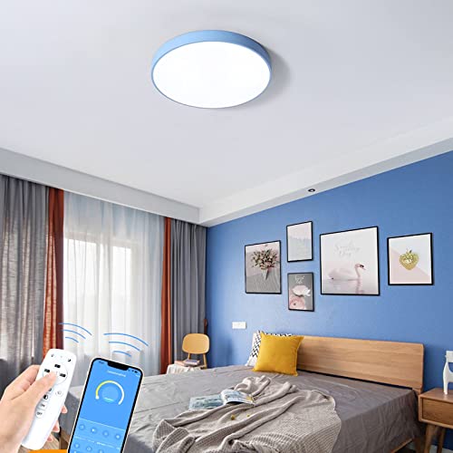 BKBEINGKING k 8-12 APPu iKF LED V[OCg  k Rt CeA Cg rO V Ɩ ԐڏƖ a  { BK-HTM353yu[ a60cm 