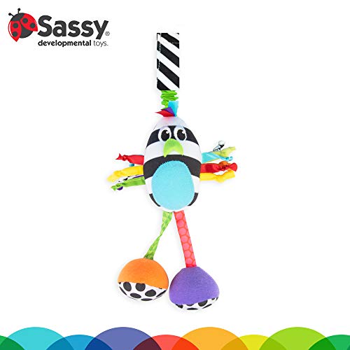 Sassy Boppin’ Birdie | Developmental Plush Toy For Early Learning | High Contrast | Attaches To Baby Gear For Travel | For Ages Newborn And Up (80660) #TOP1