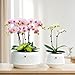 Meshpot 5 inch Orchid Pots with Holes for Repotting,Set of 1,Decorative African Violet Pots with Air-Pruning and Good Air Circulation,Plastic White Orchid Planter with Saucers